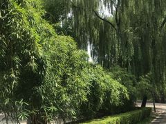 -元大都城垣遗址公园