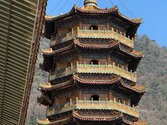 -天目山大树王景区