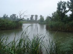 景点-梁鸿国家湿地公园