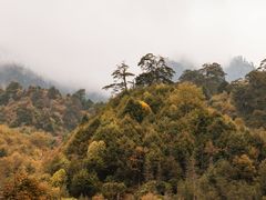 -硗碛藏寨·神木垒景区