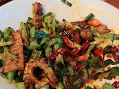 -柴窝堡22号辣子鸡·传承新疆菜