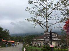 -田野绿世界