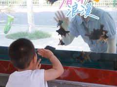 -石家庄市动物园