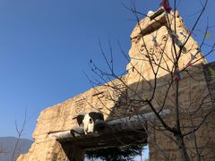 -萝卜寨羌文化生态旅游区