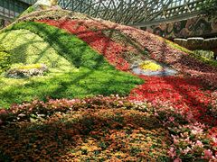 -昆明花之城豪生酒店·美食广场