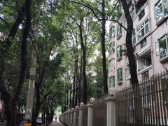 -戴叔叔龙虾馆·麻辣小龙虾