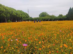-华东政法大学(松江校区)