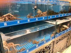 水产区-喜来酌海鲜·饺子(和平一店)