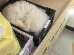 -全心全意动物诊疗中心医院(北苑店)
