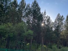 -塞罕坝国家级自然保护区