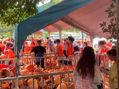 -雅鲁激流探险漂流