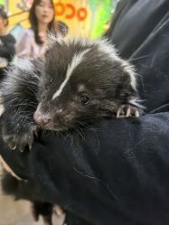 -Zoolung Zoolung动物主题公园(海信广场店)