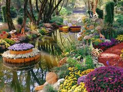 -上海共青森林公园