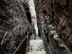 -天女山森林公园