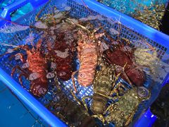 -盒马鲜生(岭南新世界店)