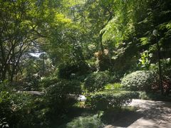 -乌山风景区