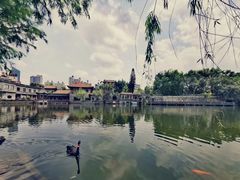 -东莞市可园博物馆