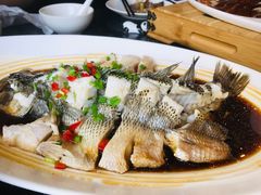 -眉州东坡(博雅店)