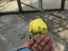 -成都欢乐谷