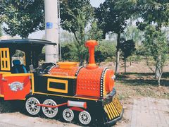 -合肥滨湖国家森林公园