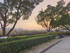 -江心屿景区
