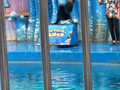 -华夏文旅海洋公园