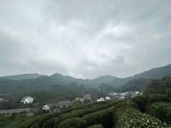 -龙井村