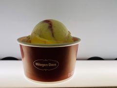 -哈根达斯(深圳海岸城店)
