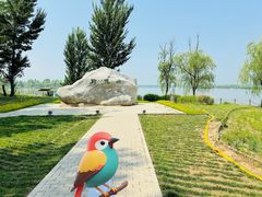 -野鸭湖国家湿地公园