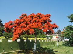 -大嶝英雄三岛战地观光园