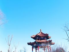 -白水寺森林公园