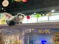 -浣熊唱片店(上海影城店)