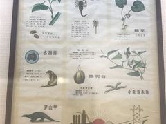 -广东中医药博物馆