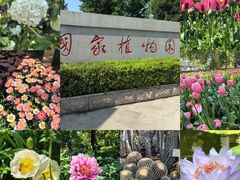 -国家植物园