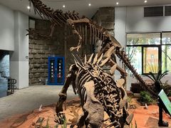 -自贡恐龙博物馆
