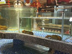 -海派美食·家宴海鲜青岛菜·石锅鲽鱼头(东方城店)
