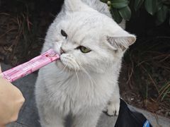 -西安大兴善寺