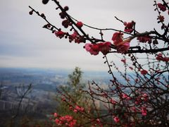 -杭州半山国家森林公园