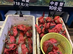 -莲花公园煎蟹(总店)