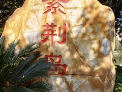 -映月湖公园