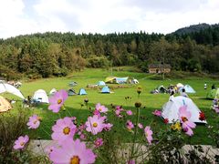 -武陵山森林公园
