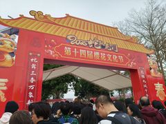 -天适樱花悠乐园