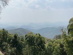 -莫干山风景区