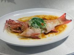 -光明招待所(邦凯科技园店)