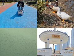 -苏州市运河公园-停车场