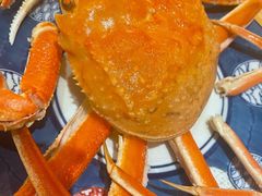-蟹福家活蟹料理·豪华自助(绿洲假日酒店)