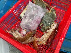 -拉威海鲜市场