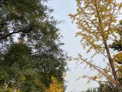 -中国人民抗日战争纪念雕塑园