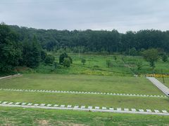 -佛手湖郊野公园