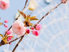 -观澜湖生态运动公社